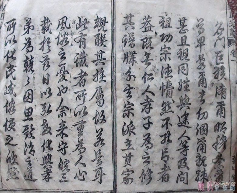 DSC01584.JPG