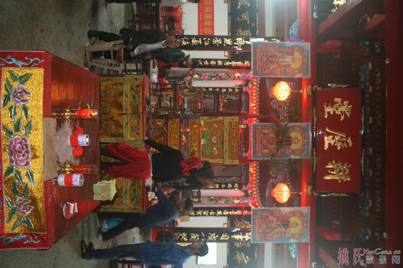 IMG_3786_800x533.JPG