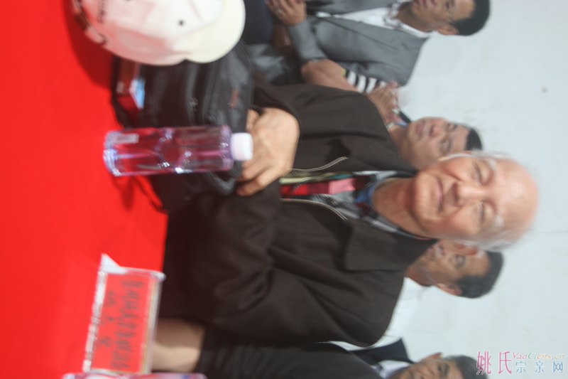IMG_3815_800x533.JPG