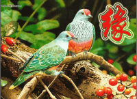 YU2z5BELogAAYvd8rhO8UgAAnull&amp;a=30&amp;b=33&amp;bo=JgKQAQAAAAACAJE!&amp;rf=photolist.gif
