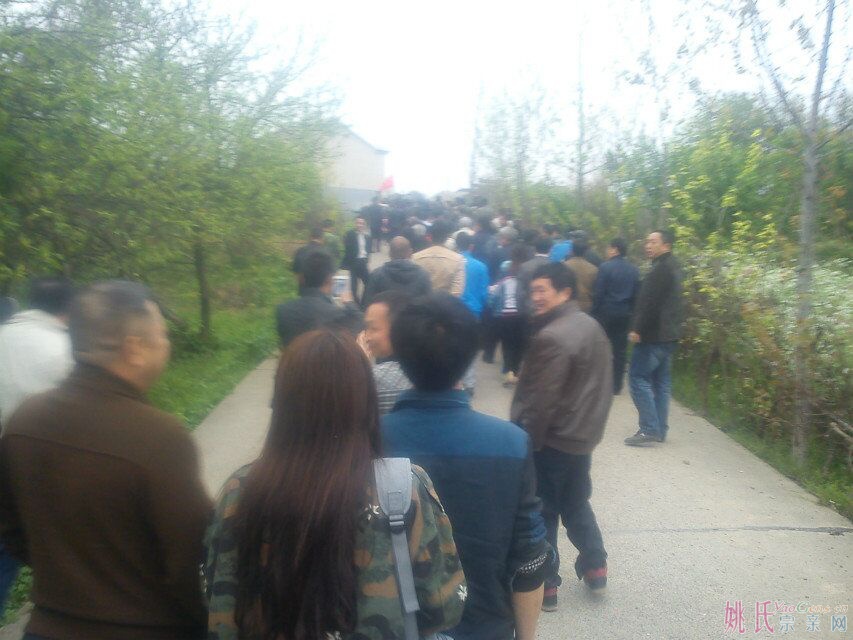 QQ图片20150410195319.jpg