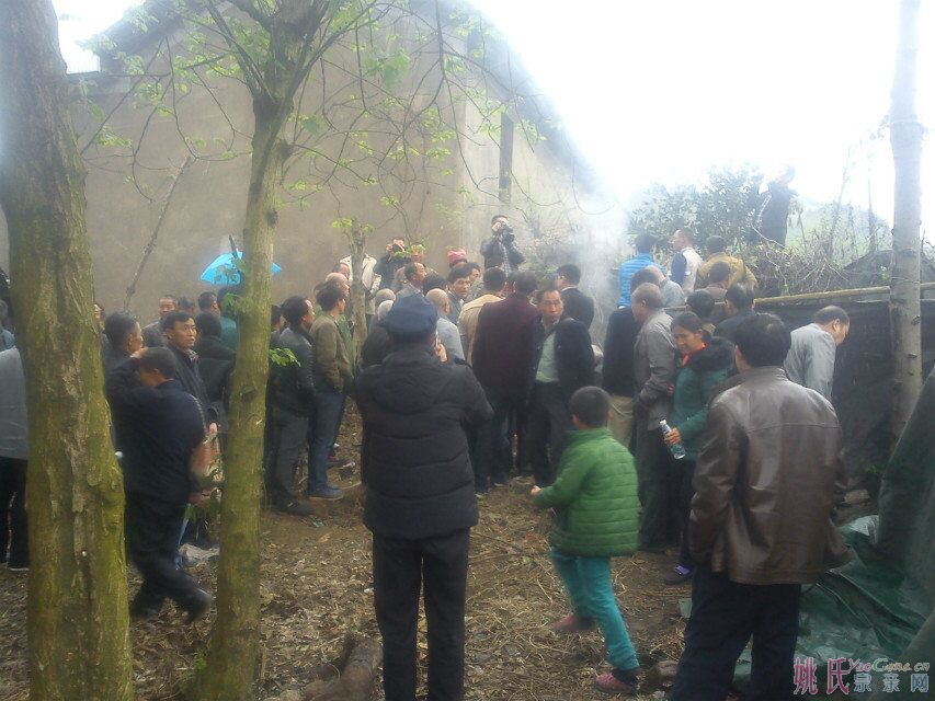 QQ图片20150410195555.jpg