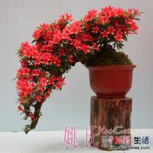 u=1091133465,3229940267&amp;fm=21&amp;gp=0.jpg
