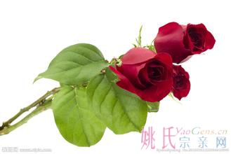 u=3357040150,4153428024&amp;fm=21&amp;gp=0.jpg