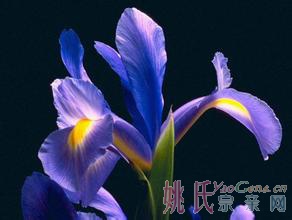 u=766894341,2570582068&amp;fm=21&amp;gp=0.jpg