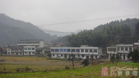 DSC02791.jpg
