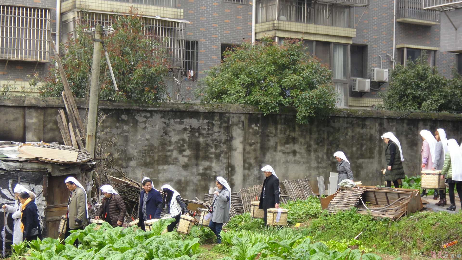 DSC03938.jpg