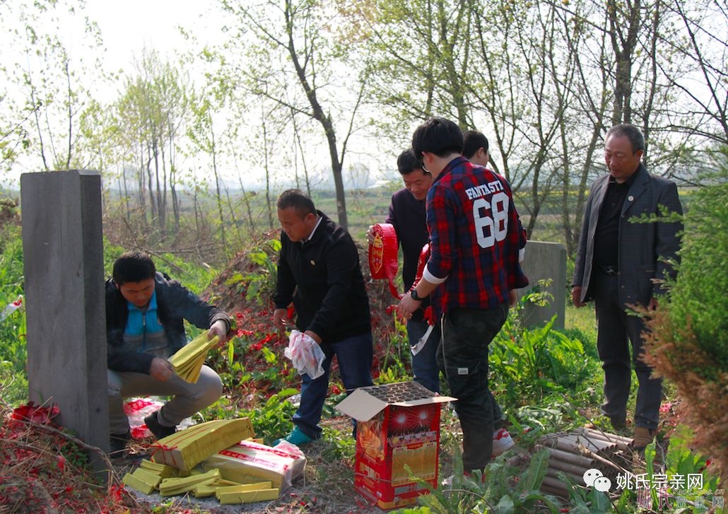 清明时节，游子兼程
