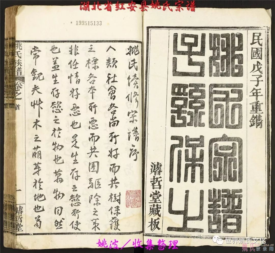 湖北省紅安縣姚氏宗譜（共36卷）