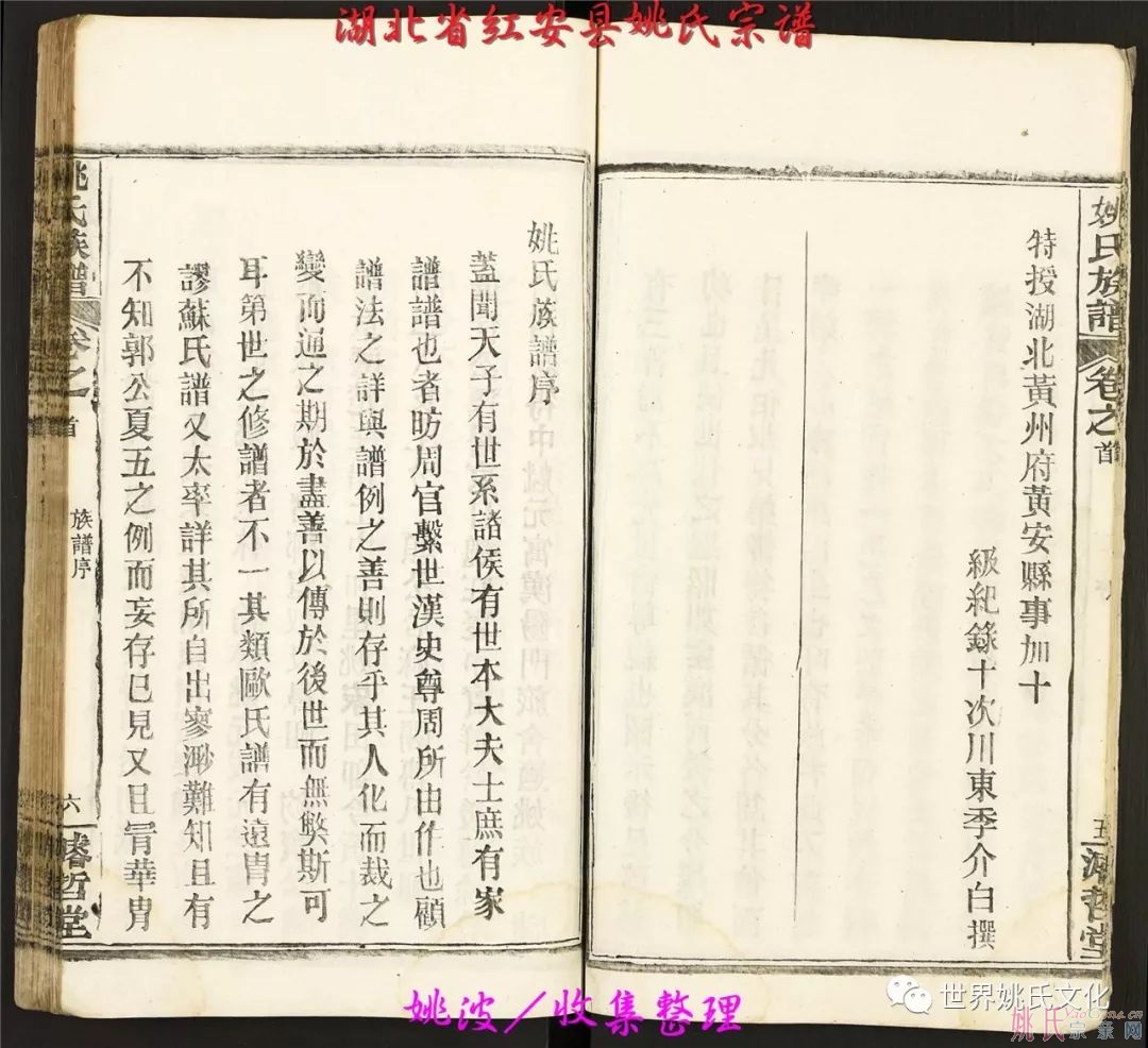 湖北省紅安縣姚氏宗譜（共36卷）