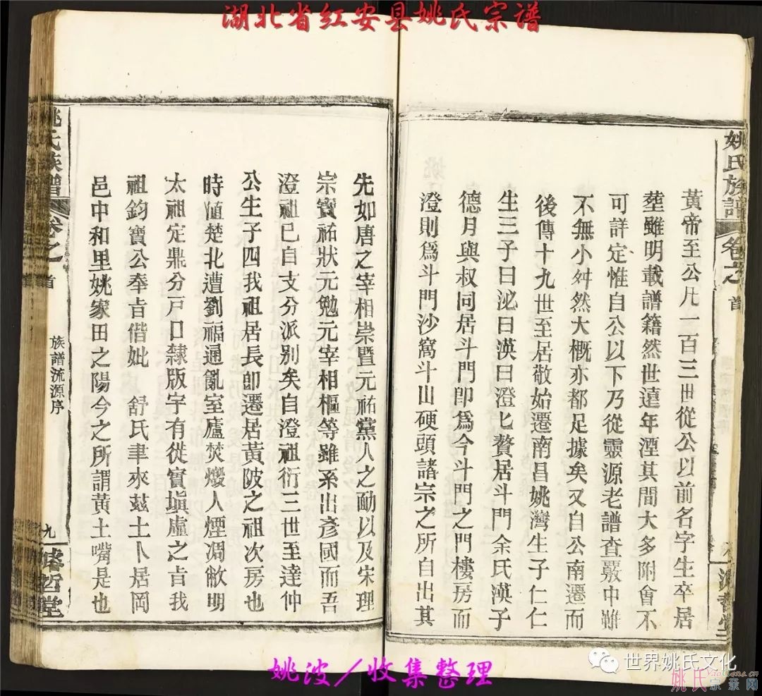 湖北省紅安縣姚氏宗譜（共36卷）