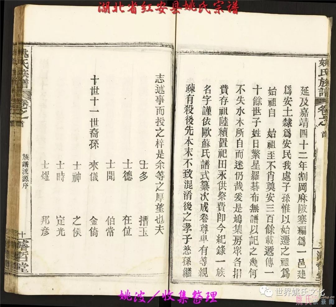 湖北省紅安縣姚氏宗譜（共36卷）