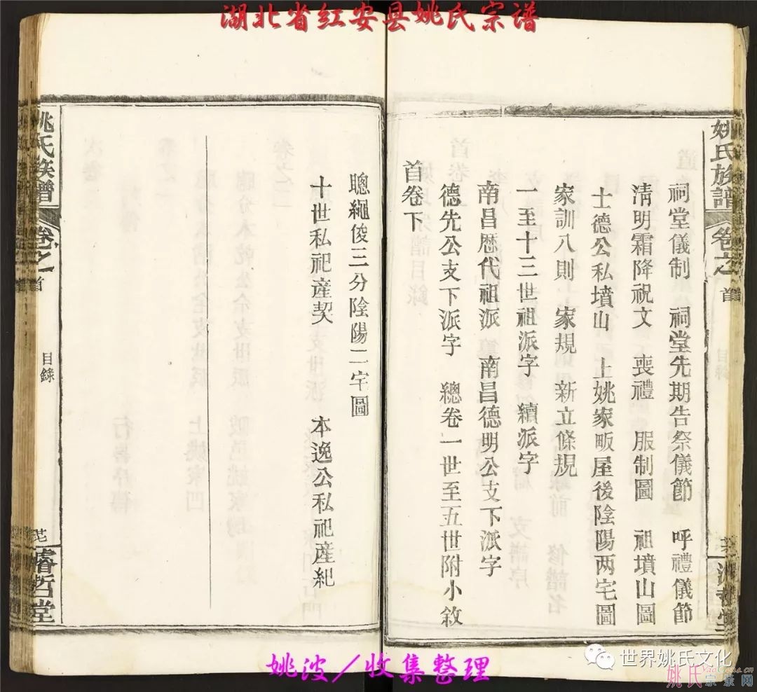 湖北省紅安縣姚氏宗譜（共36卷）