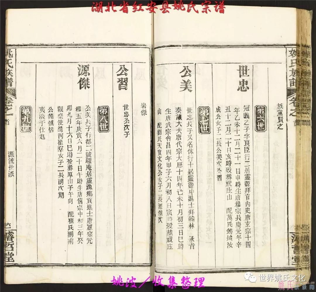 湖北省紅安縣姚氏宗譜（共36卷）