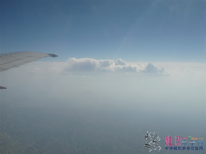 20100824859.jpg