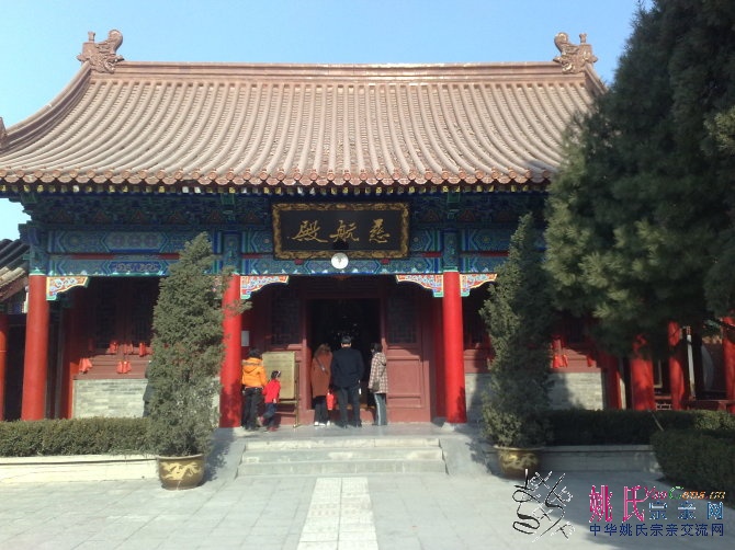 20100215148.jpg