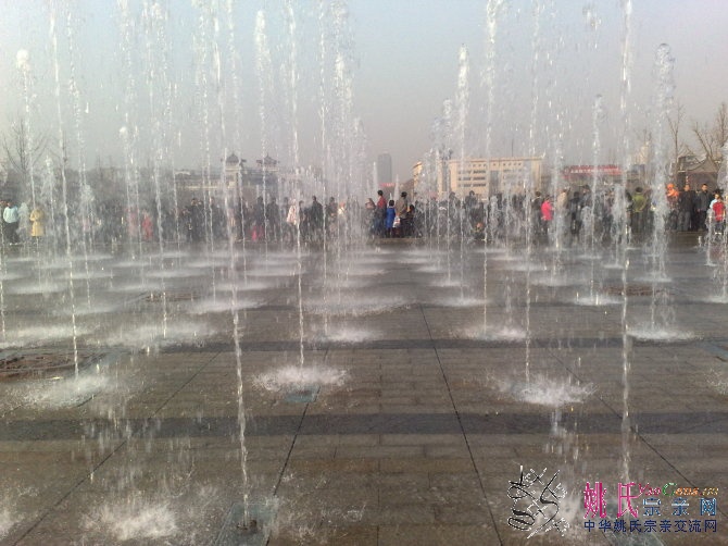 20100215215.jpg