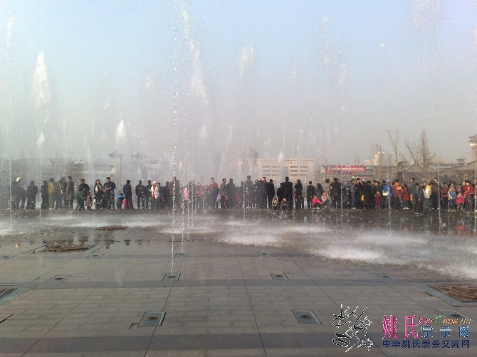 20100215218.jpg