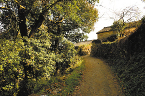 舜帝出生地诸冯.jpg