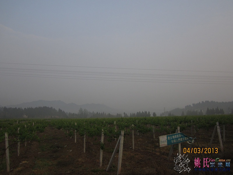 IMG_0705_副本.jpg