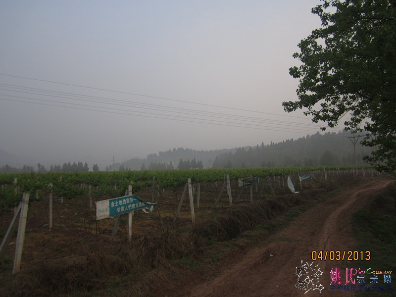 IMG_0706_副本.jpg