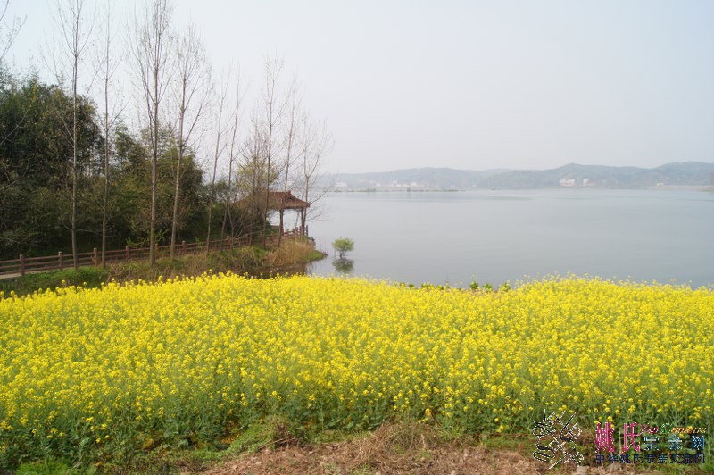 DSC05508_800_532.JPG