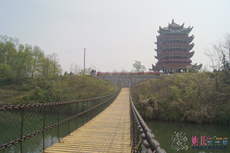 DSC05525_800_532.JPG