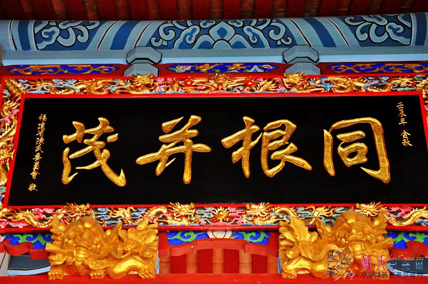 陈07_conew1.jpg